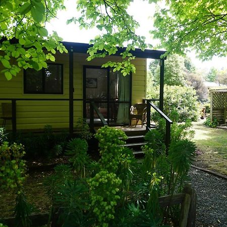 Ivy'S Cottage Greytown Buitenkant foto
